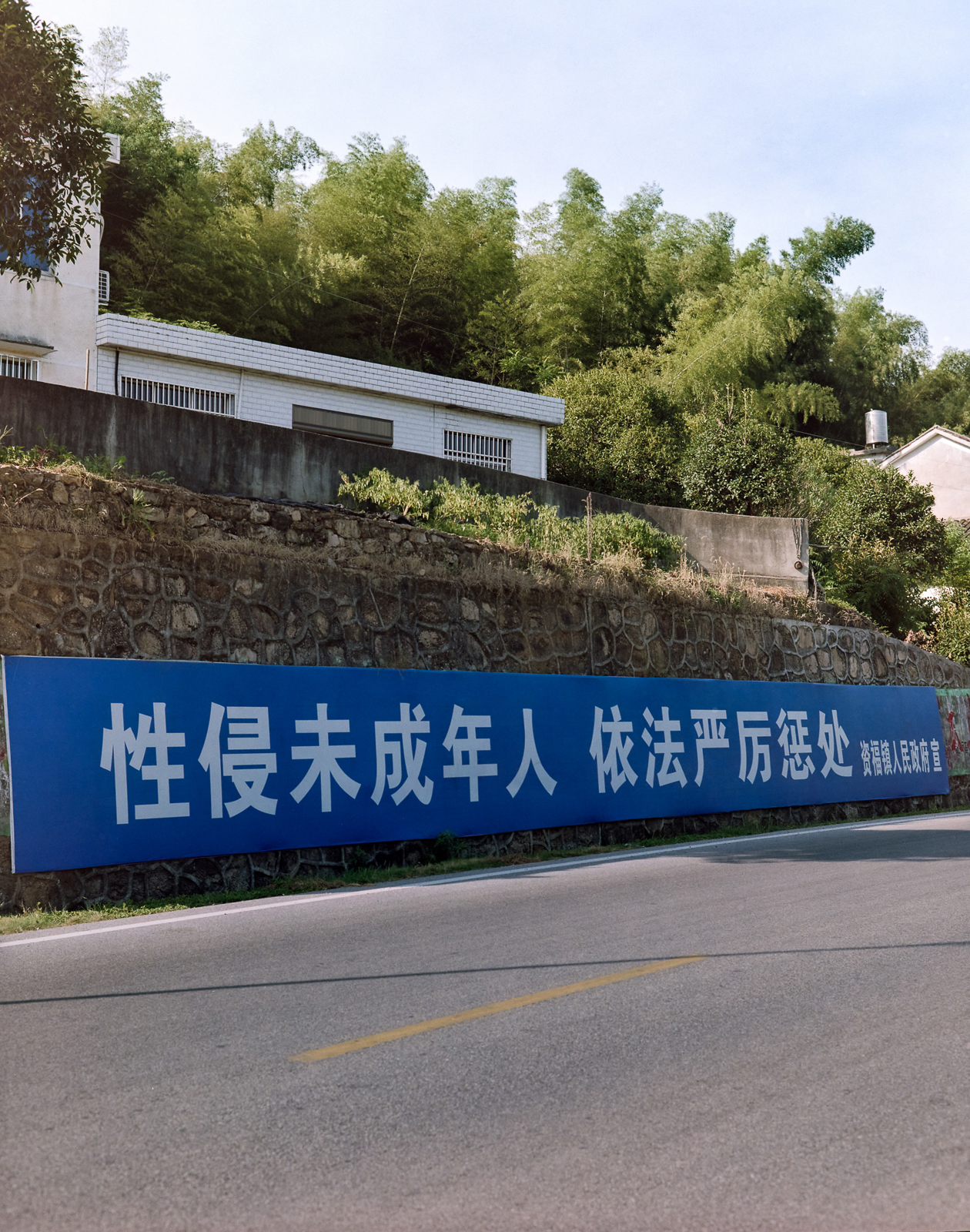 忽视的景观 image 8